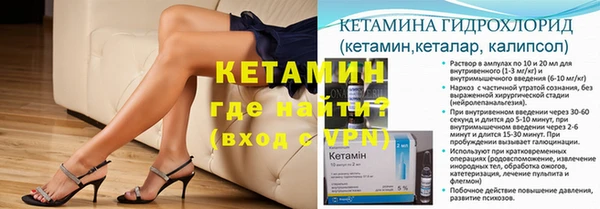 крисы Кулебаки