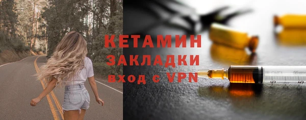 крисы Кулебаки