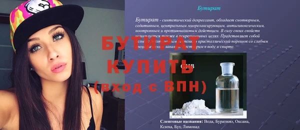 крисы Кулебаки