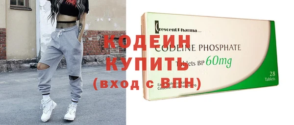 крисы Кулебаки