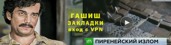 крисы Кулебаки