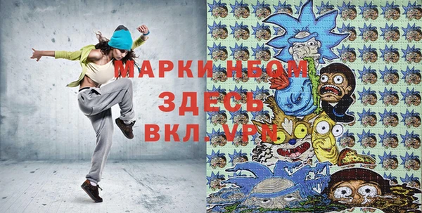 крисы Кулебаки
