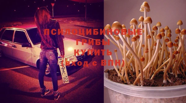 крисы Кулебаки