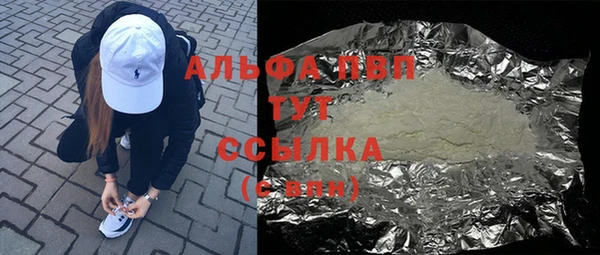 крисы Кулебаки