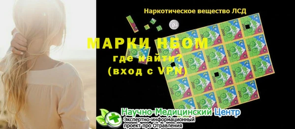 крисы Кулебаки