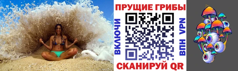 Галлюциногенные грибы Psilocybine cubensis Смоленск